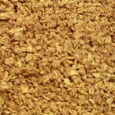 Homemade Granola Photo